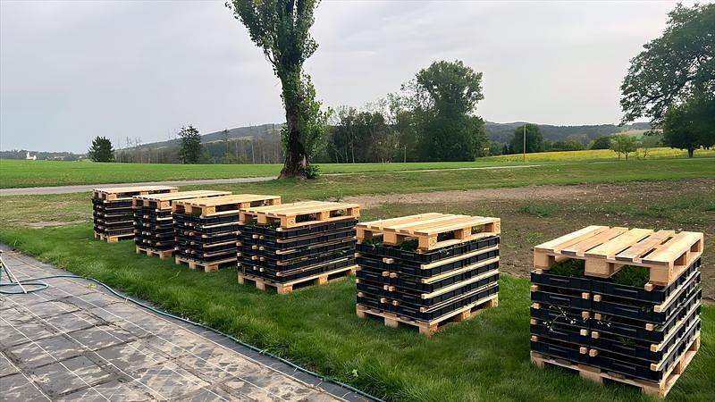 Versandfertig gestapelte Pflanzenziegel auf Paletten am Feldrand