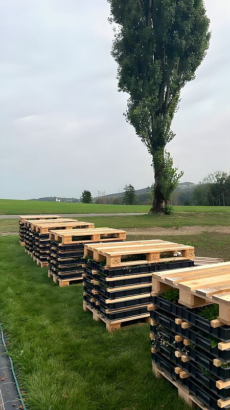 Palettenstapel mit Pflanzenziegeln vor der Abholung