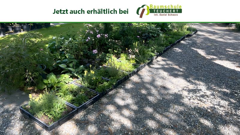 Lange Reihe verlegter Pflanzenziegel am Kiesweg der Baumschule Teuchert
