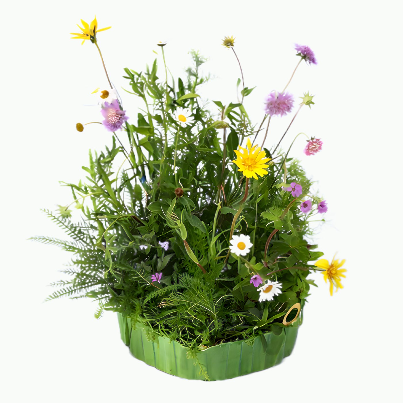 Sellana Initialziegel – fix fertig bepflanzt mit Wildblumen